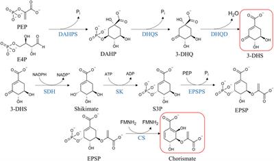 Regulation of Plant Tannin Synthesis in Crop Species